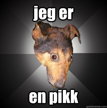 jeg er  en pikk  Depression Dog
