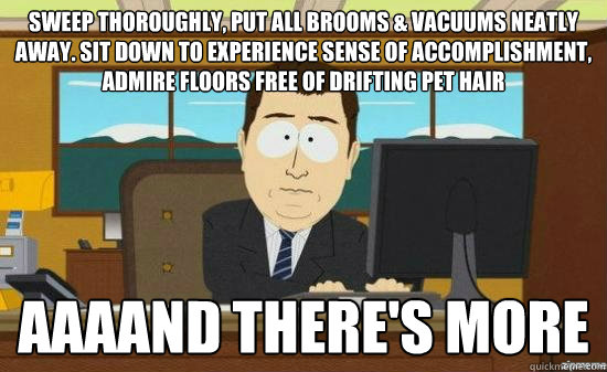 Sweep thoroughly, put all brooms & vacuums neatly away. Sit down to experience sense of accomplishment, admire floors free of drifting pet hair AAAAND there's more  aaaand its gone