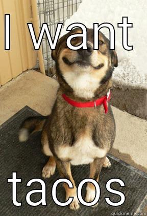 I WANT  TACOS Good Dog Greg