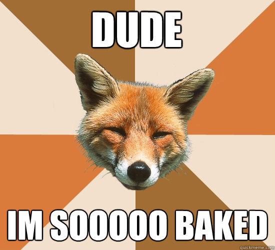 dude
 im sooooo baked  Condescending Fox
