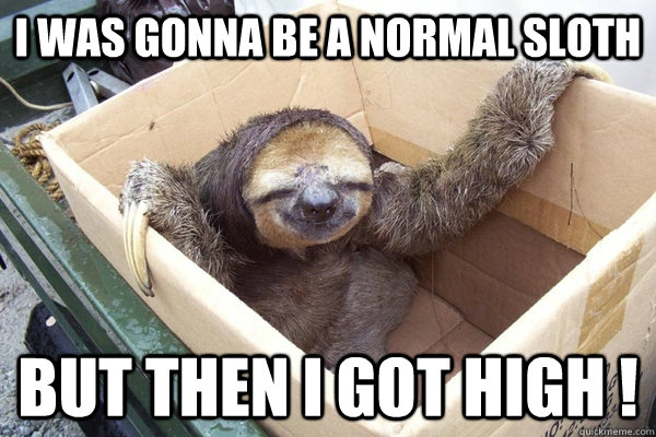 i was gonna be a normal sloth but then i got high !  