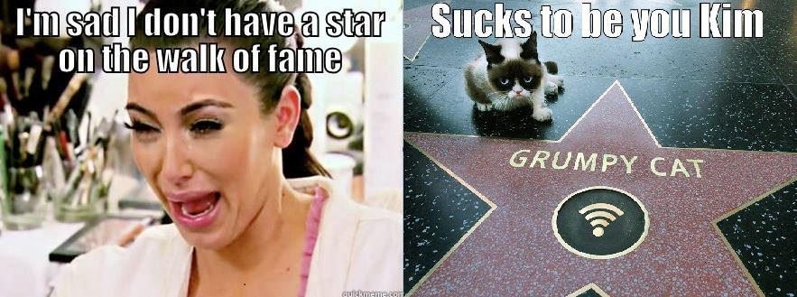 Kim and Grumpy Cat -   Misc