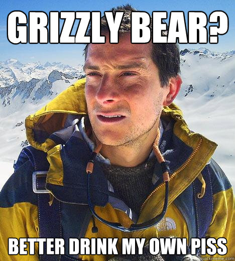 Grizzly Bear? better drink my own piss  Bear Grylls