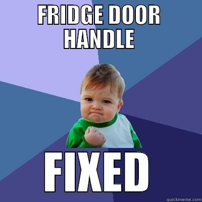 FRIDGE DOOR HANDLE FIXED Success Kid