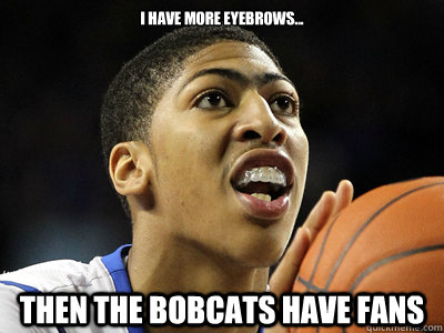 I have more eyebrows... THEN the bobcats have fans - I have more eyebrows... THEN the bobcats have fans  Misc