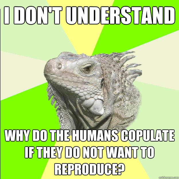 i don't understand why do the humans copulate if they do not want to reproduce?  Rationalist Lizard