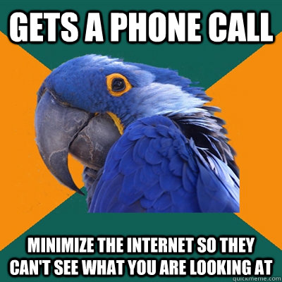 gets a phone call minimize the internet so they can't see what you are looking at  Paranoid Parrot