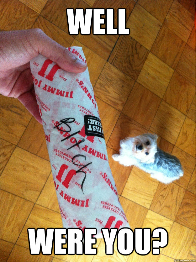 Well Were you? - Well Were you?  Jimmy Johns Judgment Dog