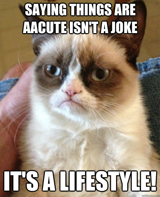 Saying things are AACute isn't a joke It's a lifestyle!  Grumpy Cat