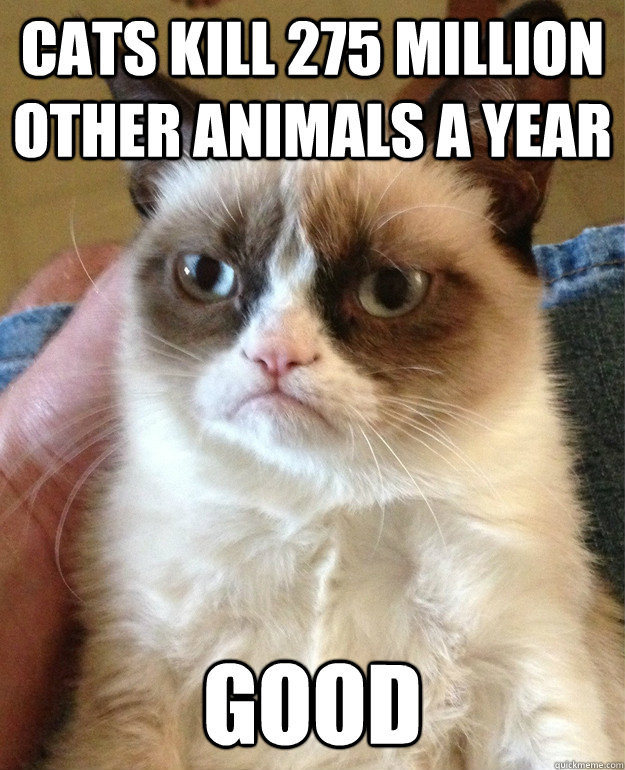 Cats kill 275 million other animals a year good  Grumpy Cat