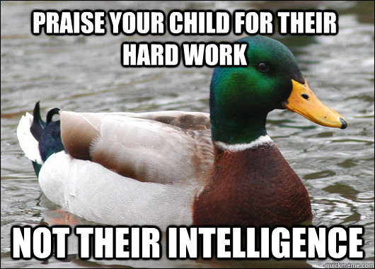 Praise your child for their hard work not their intelligence  Actual Advice Mallard