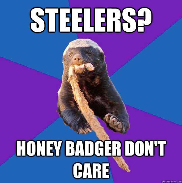 Steelers? honey badger don't care - Steelers? honey badger don't care  Honey Badger Dont Care