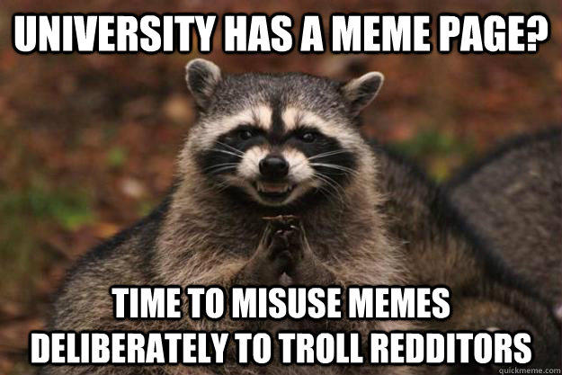 university has a meme page? time to misuse memes deliberately to troll redditors - university has a meme page? time to misuse memes deliberately to troll redditors  Evil Plotting Raccoon