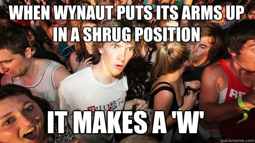 When wynaut puts its arms up in a shrug position it makes a 'w' - When wynaut puts its arms up in a shrug position it makes a 'w'  Misc
