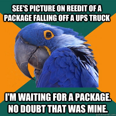 See's picture on reedit of a package falling off a ups truck i'm waiting for a package. no doubt that was mine.  Paranoid Parrot