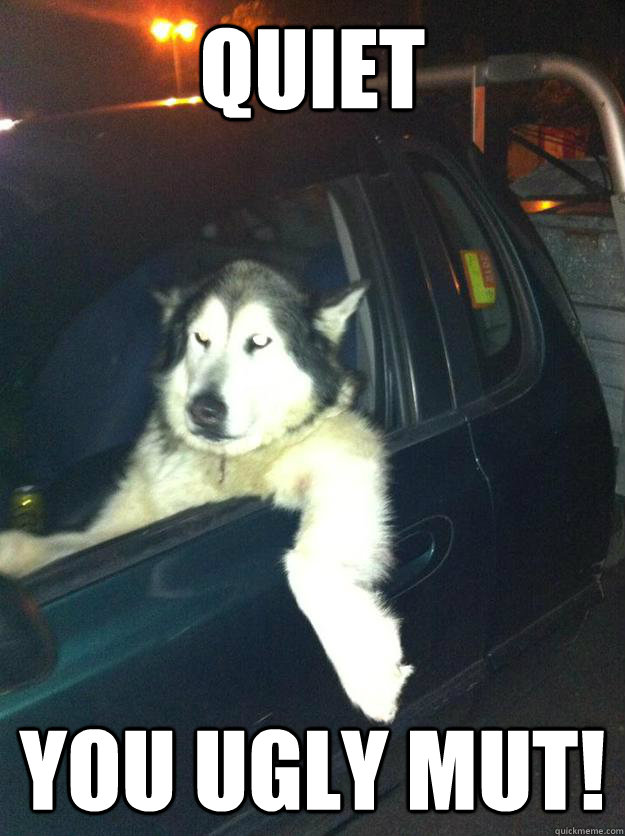 Quiet You Ugly Mut!  Mean Dog