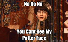 No No No You Cant See My Potter Face  