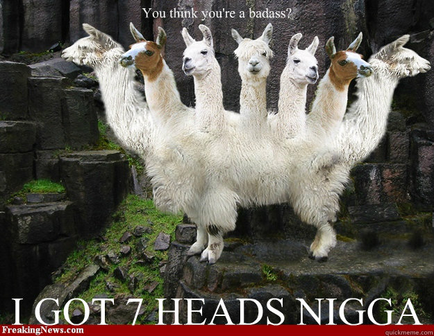 You think you're a badass? I GOT 7 HEADS NIGGA  Trolling Llama