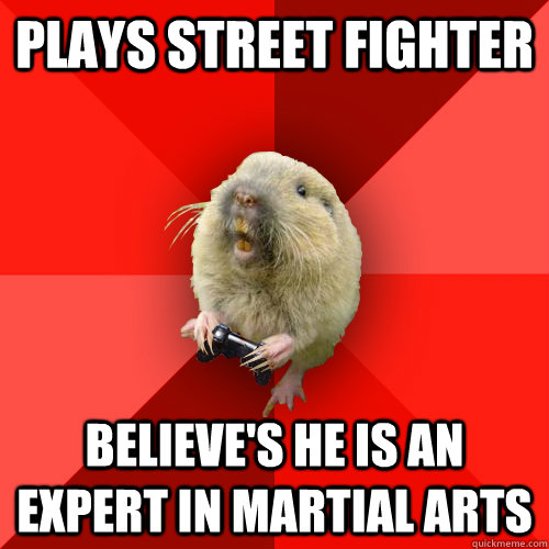 Plays Street Fighter  Believe's he is an expert in martial arts  Gaming Gopher