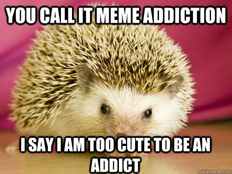 You call it meme addiction I say I am too cute to be an addict  