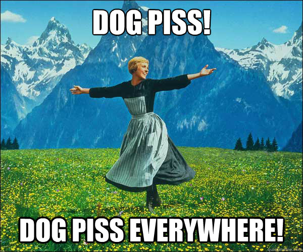 dog piss! Dog piss everywhere!  Sound of Music