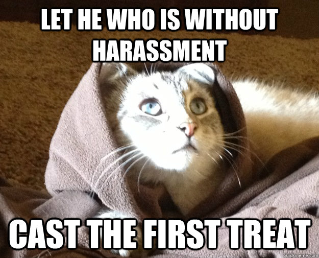 LET HE WHO IS WITHOUT HARASSMENT CAST THE FIRST TREAT  Kitty Jesus
