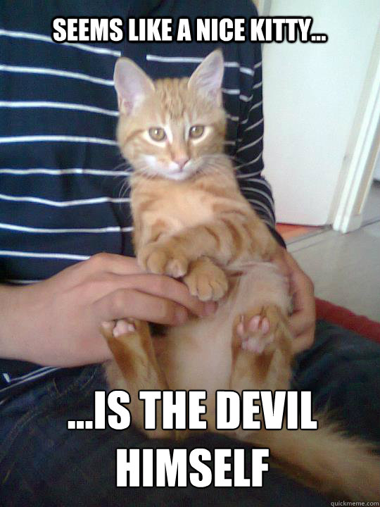 seems like a nice kitty... …is the devil himself  Schizophrenic cat