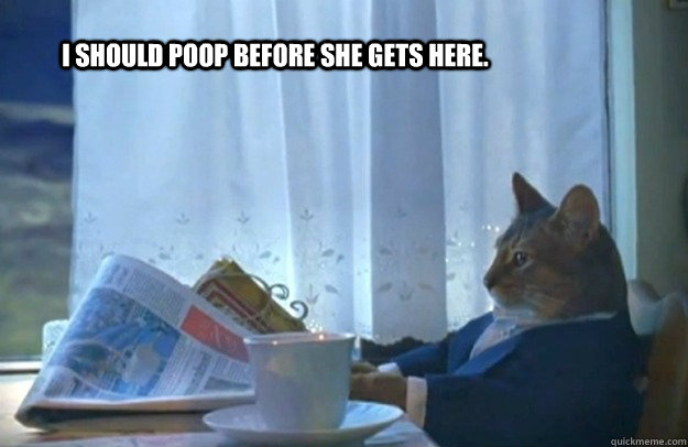 I should poop before she gets here.  Sophisticated Cat