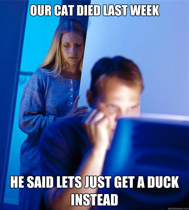 Our cat died last week He said lets just get a duck instead   Redditors Wife