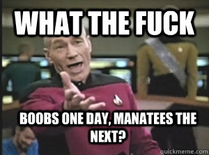 What the fuck Boobs one day, manatees the next?   Annoyed Picard