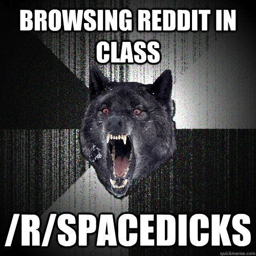 Browsing reddit in class /r/spacedicks  Insanity Wolf