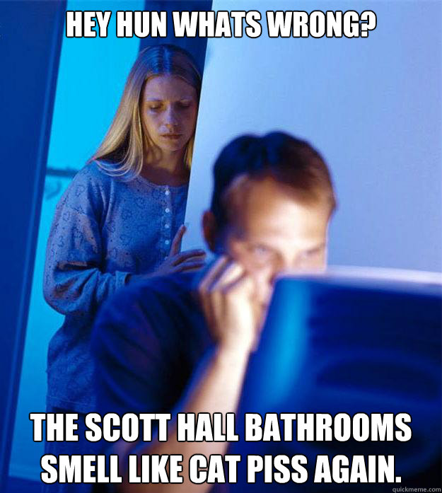 Hey Hun whats wrong? the scott hall bathrooms smell like cat piss again.  Redditors Wife