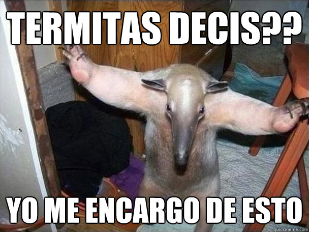 termitas decis?? yo me encargo de esto  I got this
