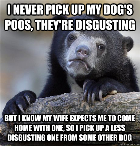 I NEVER PICK UP MY DOG'S POOS, THEY'RE DISGUSTING BUT I KNOW MY WIFE EXPECTS ME TO COME HOME WITH ONE, SO I PICK UP A LESS DISGUSTING ONE FROM SOME OTHER DOG  Confession Bear