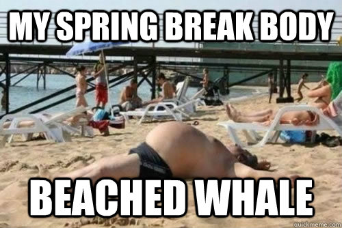 My spring break body Beached whale - My spring break body Beached whale  fat spring break