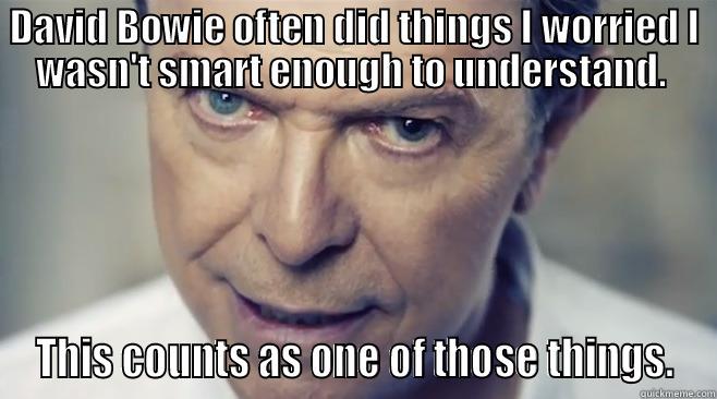 DAVID BOWIE OFTEN DID THINGS I WORRIED I WASN'T SMART ENOUGH TO UNDERSTAND.  THIS COUNTS AS ONE OF THOSE THINGS. Misc