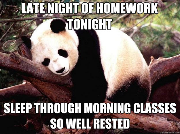 Late night of homework tonight Sleep through morning classes 
so well rested - Late night of homework tonight Sleep through morning classes 
so well rested  Procrastination Panda
