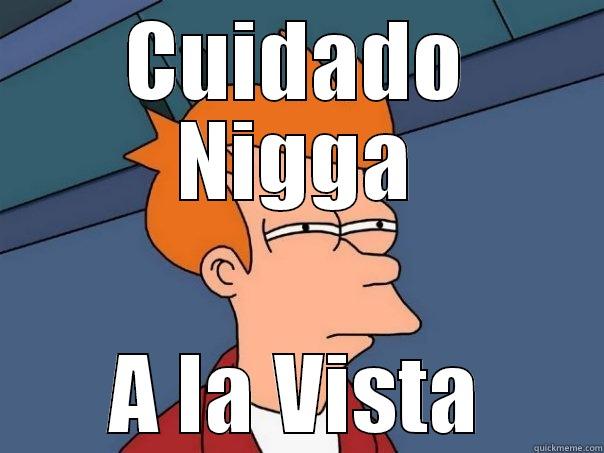 CUIDADO NIGGA A LA VISTA Futurama Fry