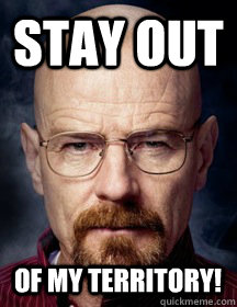 stay out of my territory! - stay out of my territory!  Breaking Bad Logic