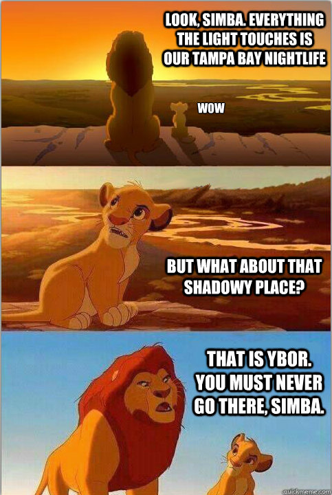 Look, Simba. Everything the light touches is our Tampa Bay Nightlife But what about that shadowy place? That is Ybor. You must never go there, Simba.  wow - Look, Simba. Everything the light touches is our Tampa Bay Nightlife But what about that shadowy place? That is Ybor. You must never go there, Simba.  wow  Shadowy Place from Lion King