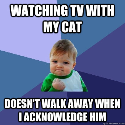 watching tv with my cat doesn't walk away when i acknowledge him  Success Kid