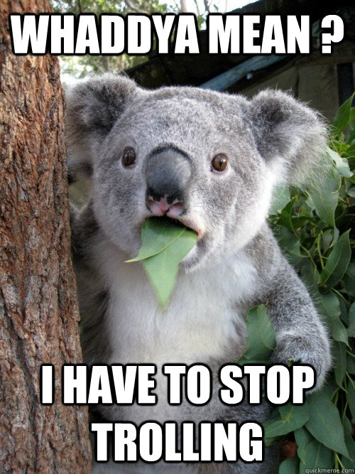 Whaddya mean ? I have to stop trolling - Whaddya mean ? I have to stop trolling  koala bear