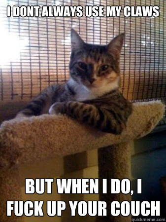 I dont always use my claws but when I do, i fuck up your couch  The Most Interesting Cat in the World