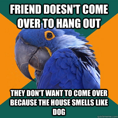 Friend doesn't come over to hang out They don't want to come over because the house smells like dog  Paranoid Parrot