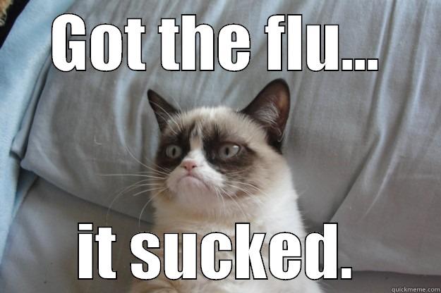 GOT THE FLU... IT SUCKED. Grumpy Cat