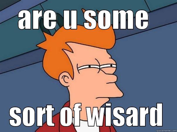 ARE U SOME  SORT OF WISARD Futurama Fry