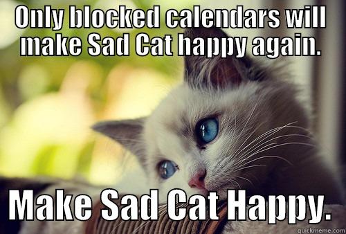 ONLY BLOCKED CALENDARS WILL MAKE SAD CAT HAPPY AGAIN.   MAKE SAD CAT HAPPY.  First World Problems Cat