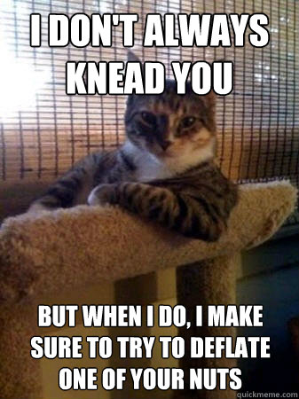 I don't always knead you but when I do, I make sure to try to deflate one of your nuts  The Most Interesting Cat in the World
