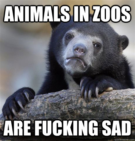 ANIMALS IN ZOOS ARE FUCKING SAD - ANIMALS IN ZOOS ARE FUCKING SAD  Confession Bear