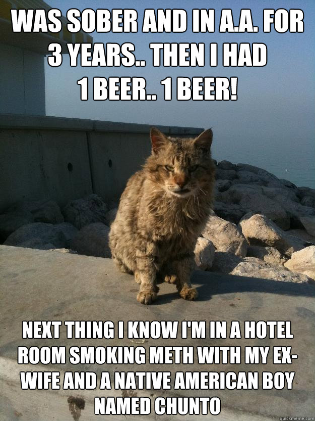 Was sober and in A.A. for 3 years.. then i had                1 beer.. 1 beer! Next thing i know i'm in a hotel room smoking meth with my ex-wife and a native american boy named chunto  Bitter Cat